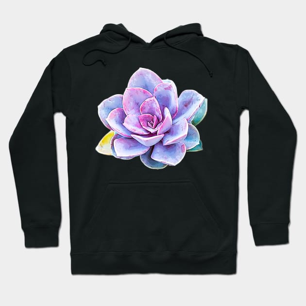 Succulent - Pastel Beauty Hoodie by Elarex